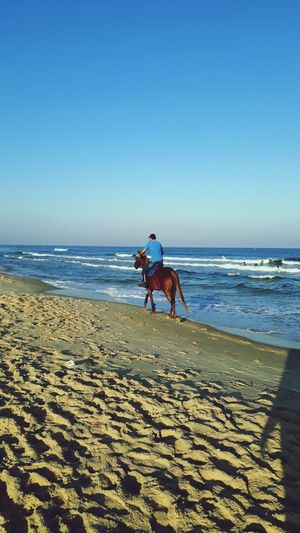 Full length of man riding horse at beach against sky