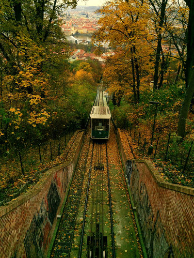 High angle view of railroad tracks amidst trees during autumn