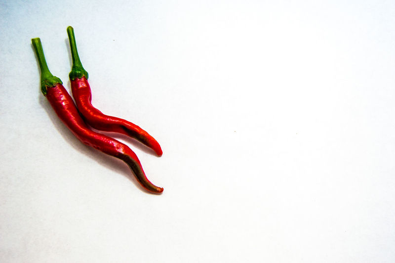 High angle view of red chili pepper against white background