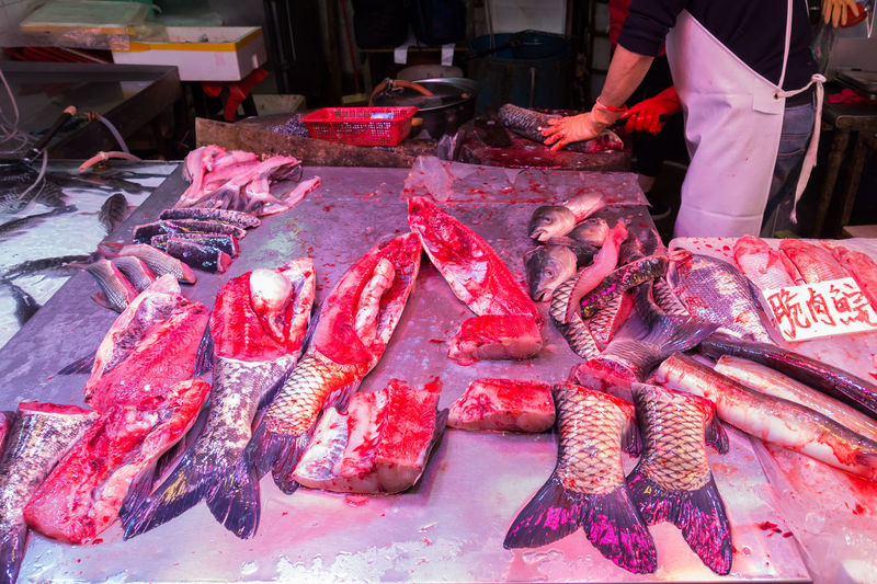 Midsection of butcher by fish for sale at market stall