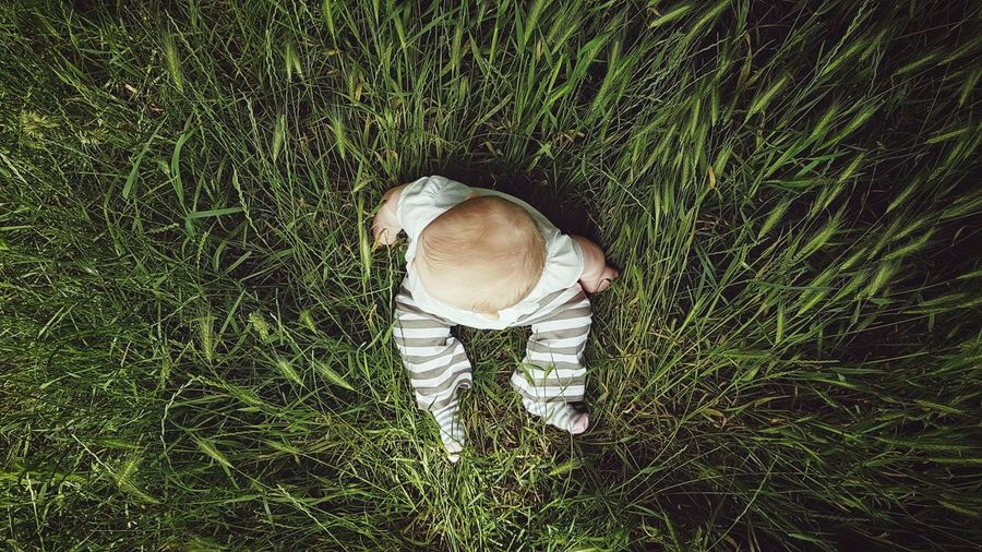 Directly above shot of baby boy sitting on grassy field at brockwell park