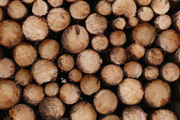 Full frame shot of logs