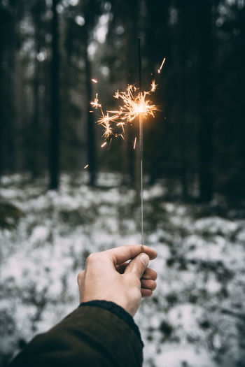 Cropped hand holding sparkler in forest during winter