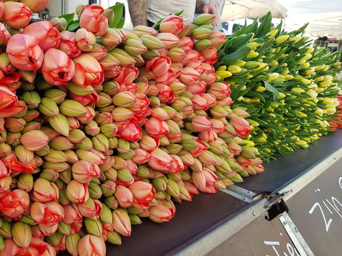 Red fruits for sale in market