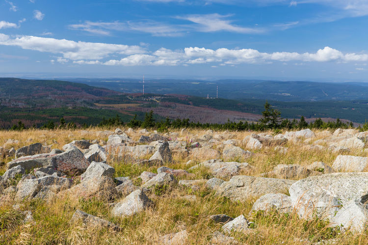 Scenic view of landscape against sky
