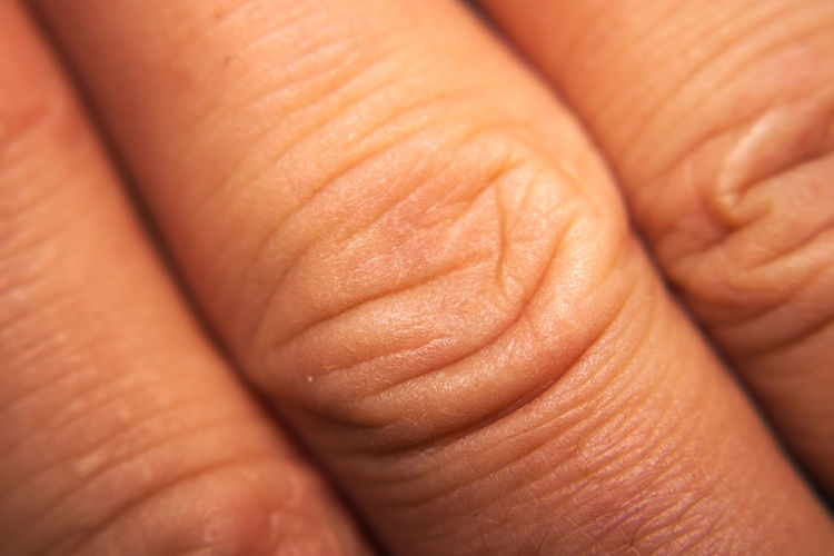 Close-up of fingers