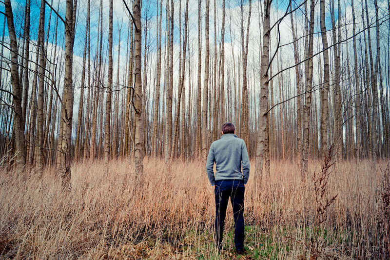 Rear view of man standing against trees in forest