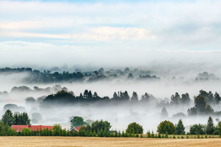 Morning fog in a rural landscape view