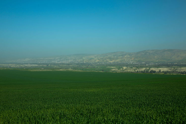 Scenic view of agricultural field against clear sky