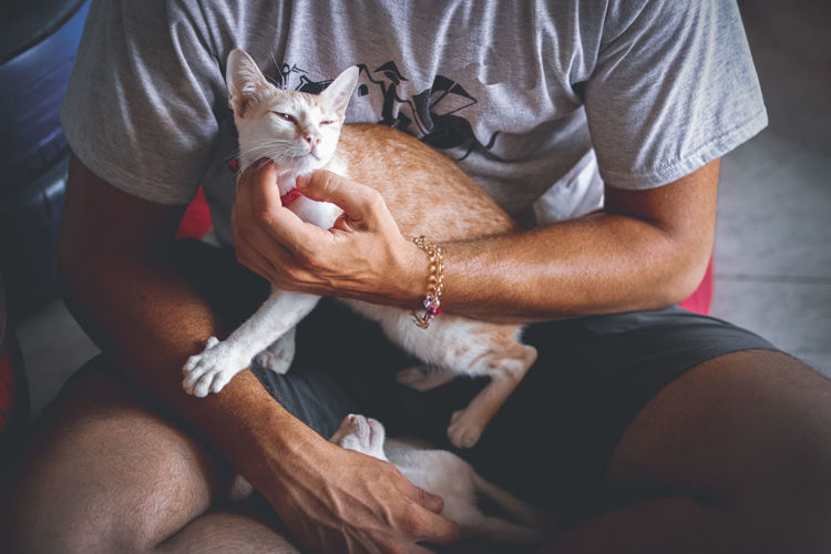 Midsection of man with a pet cat