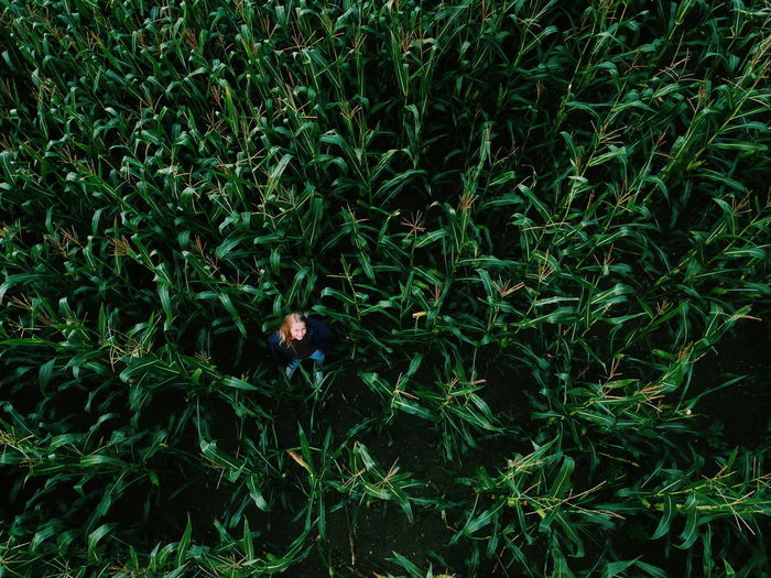 High angle view of woman amidst plants on field