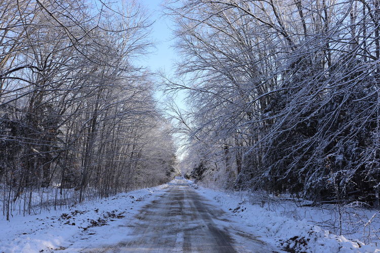 Road amidst bare trees during winter