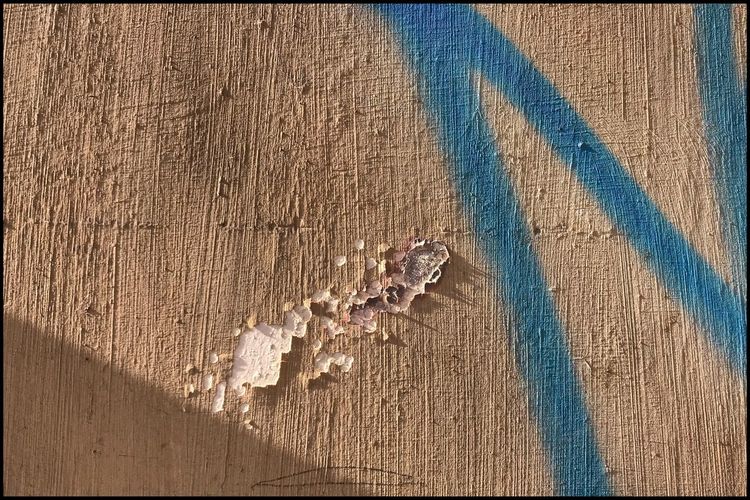 Close-up of shadow on wood