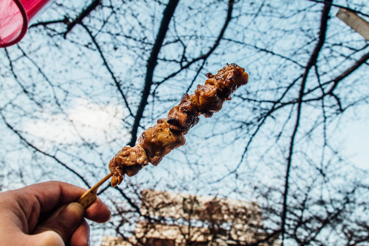 Cropped image of person holding meat in skewer against trees