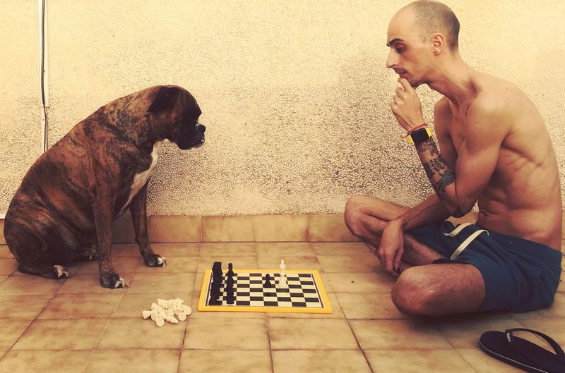 Man playing with dog sitting on floor