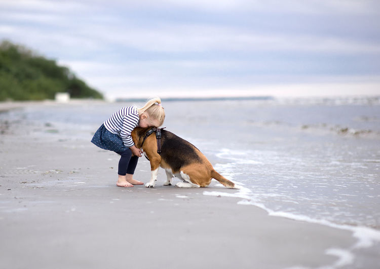 Girl and beagle on shore at beach