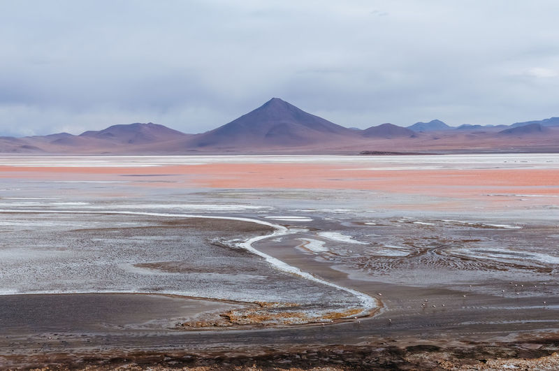 Laguna colorada in bolivia altiplano