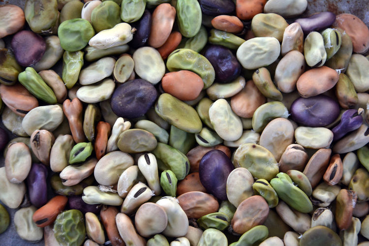 Full frame shot of beans
