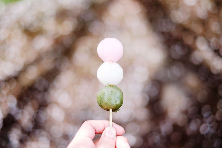 Cropped image of hand holding lollipop