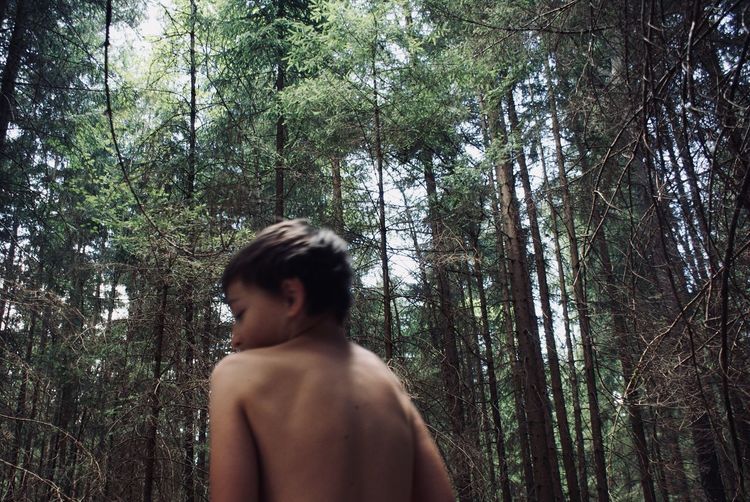 Rear view of shirtless man in forest
