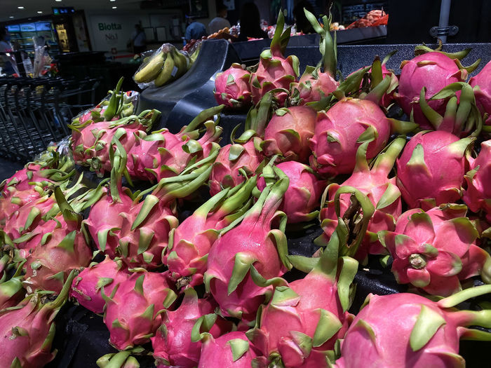 Close-up of pink roses for sale in market
