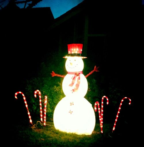 Illuminated christmas lights