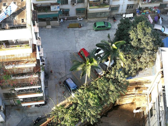 High angle view of trees in city