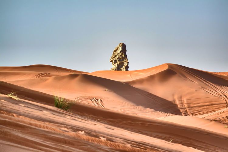 Camel rock in the desert against the sky