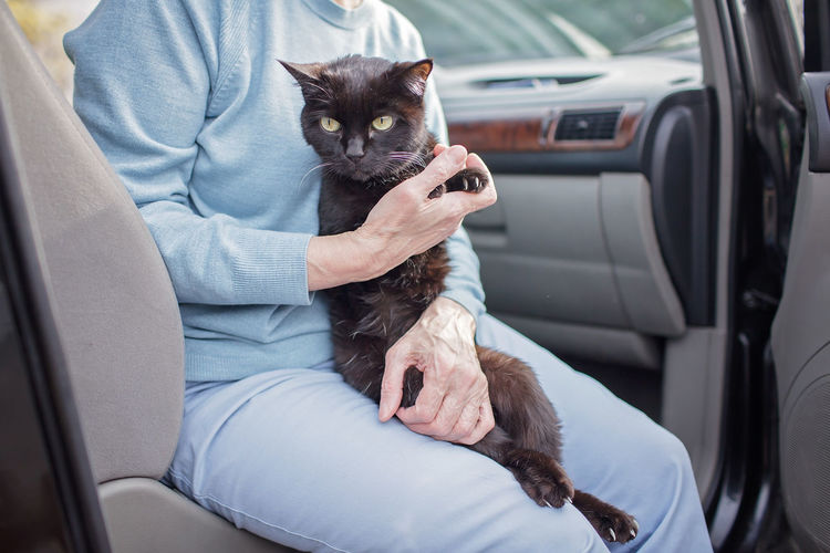 Ukrainian refugees flee from russian invasion, cross board by car together with pet, seek protection