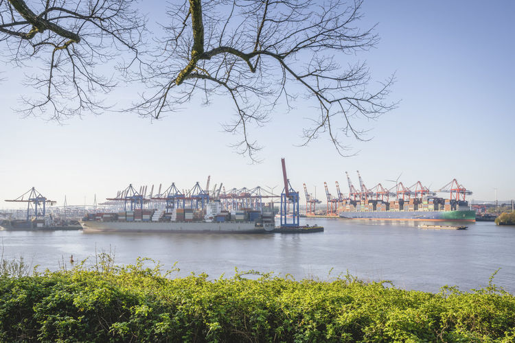 Germany, hamburg, view of port of hamburg filled with harbor cranes