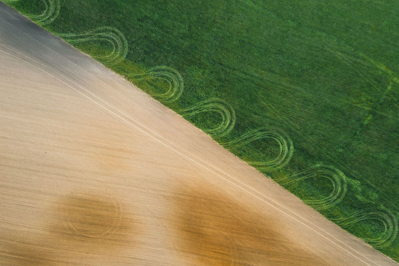 Tractor tracks in a green field and in a brown field in the belarus