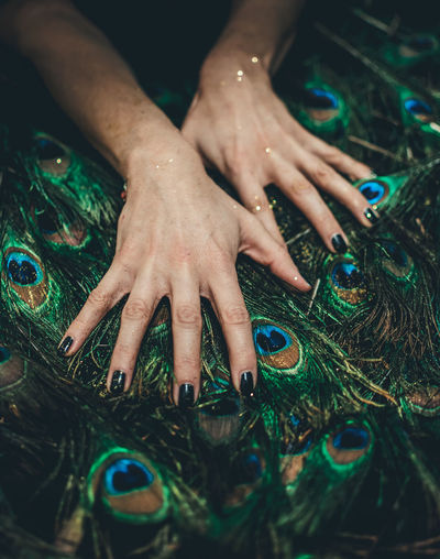 Cropped hands of woman on peacock feathers