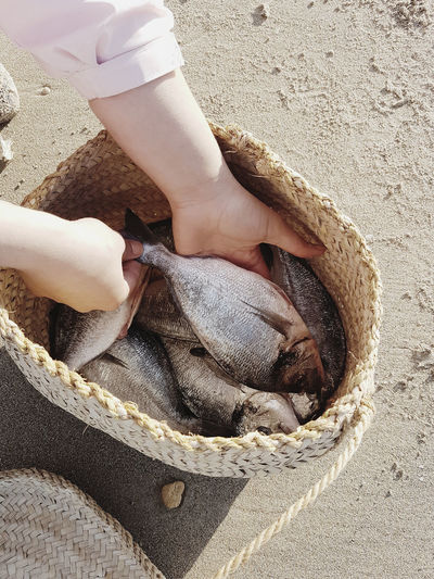 High angle view of hand holding sand on beach