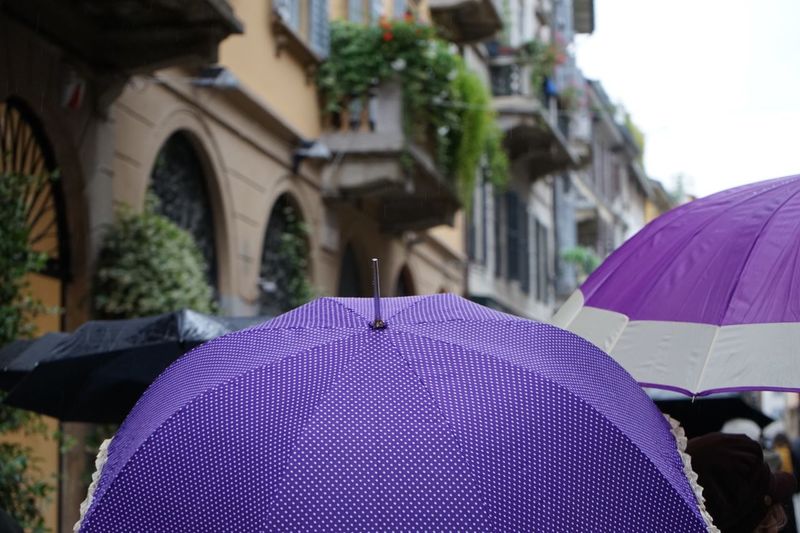 Close-up of wet purple umbrella