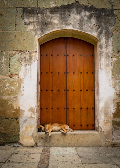 50 Door Window Pictures Hd Download Authentic Images On Eyeem