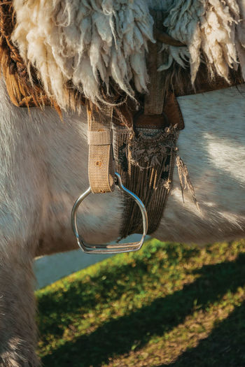 Typical horse saddle made of sheep wool and steel stirrup in a ranch near cambara do sul. brazil.