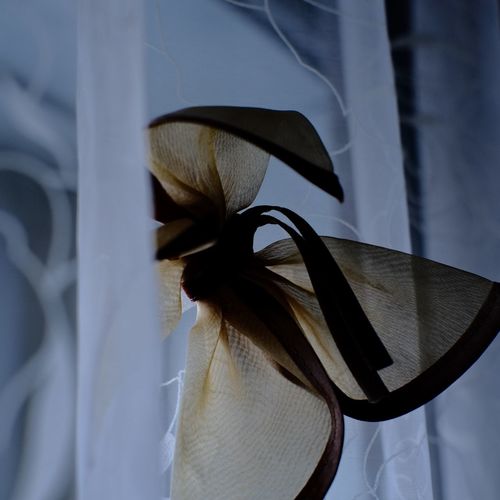 Close-up of textile hanging by window
