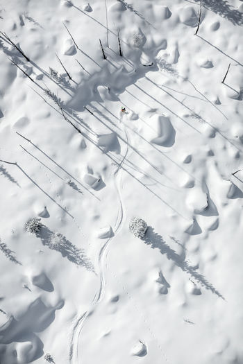 Aerial photo of adult woman backcountry powder skiing in the kootenays, b.c., canada