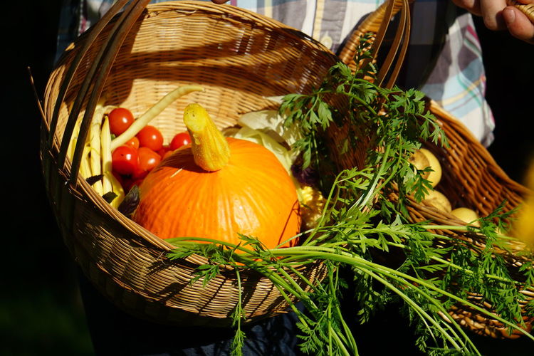 Midsection of man with vegetables in basket