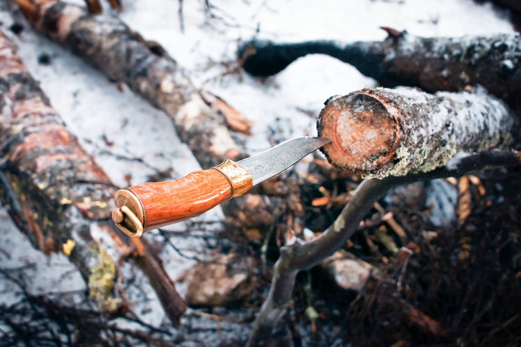 Knife pierced into wooden log in winter forest