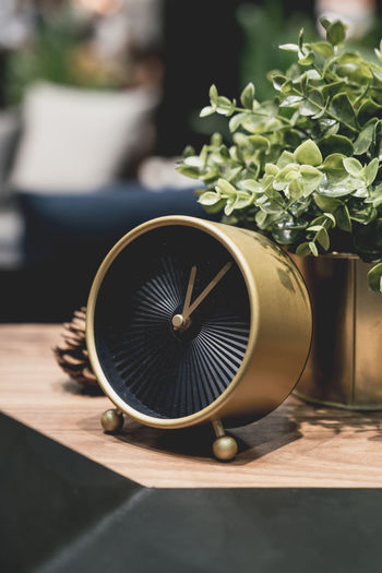 Close-up of clock with potted plant on table