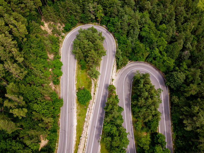 High angle view of road passing through forest