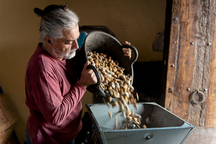 Male farmer pouring a basket of hand harvested almonds.