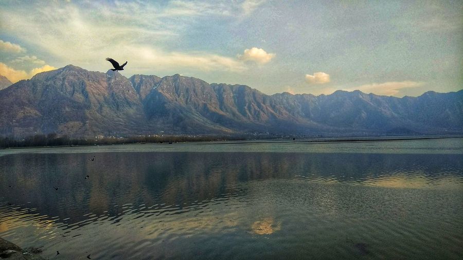 Birds flying over lake against mountains