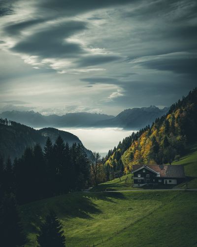 Scenic view of field against sky