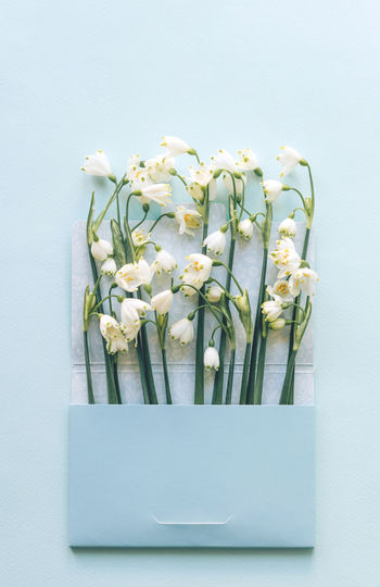 Spring fragrant letter with greetings and snowdrops