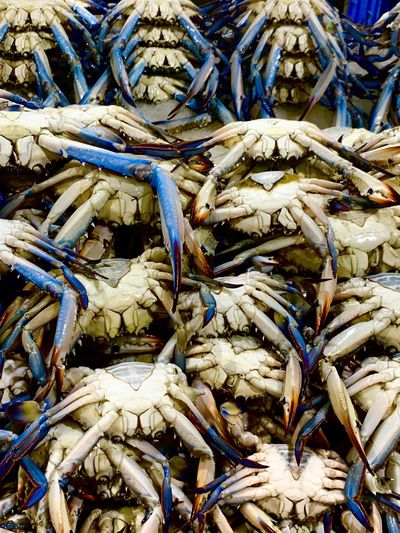 Stacked crabs in the fish market