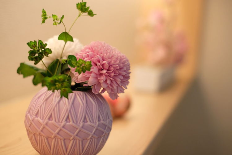 Close-up of pink flower pot on table