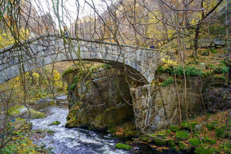 Arch bridge over river stream in forest