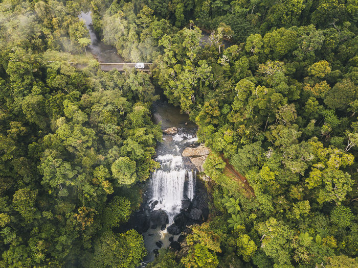 High angle view of waterfall amidst trees in forest